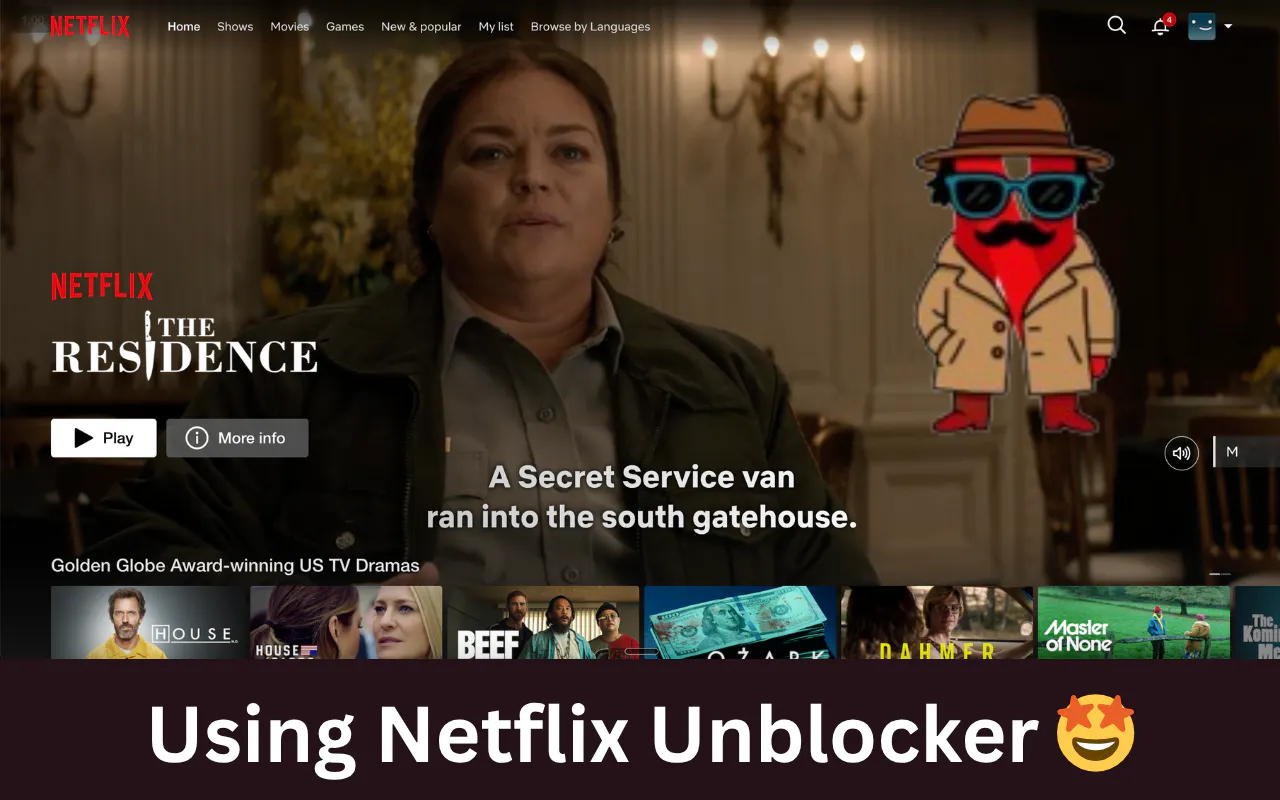 Netflix Unblocker gallery image