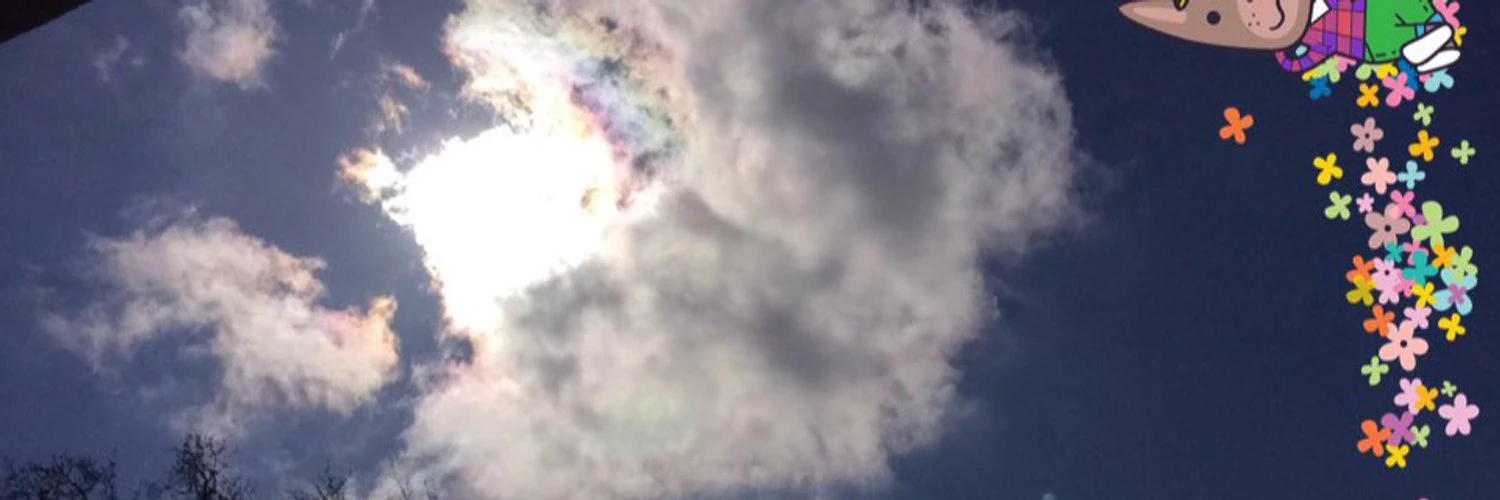 Mahbod Moghadam cover