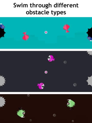 Crazy Fish gallery image