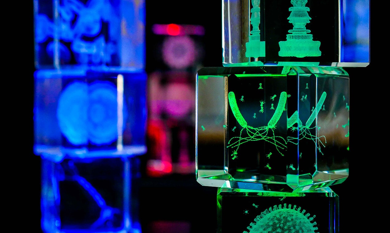 The Microcosm in Glass by Cinks Labs gallery image