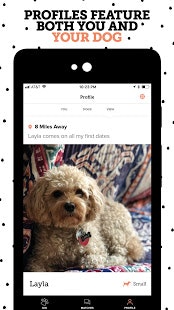 Dig 2.0 gallery image