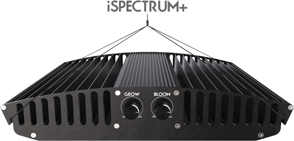 excite LED gallery image