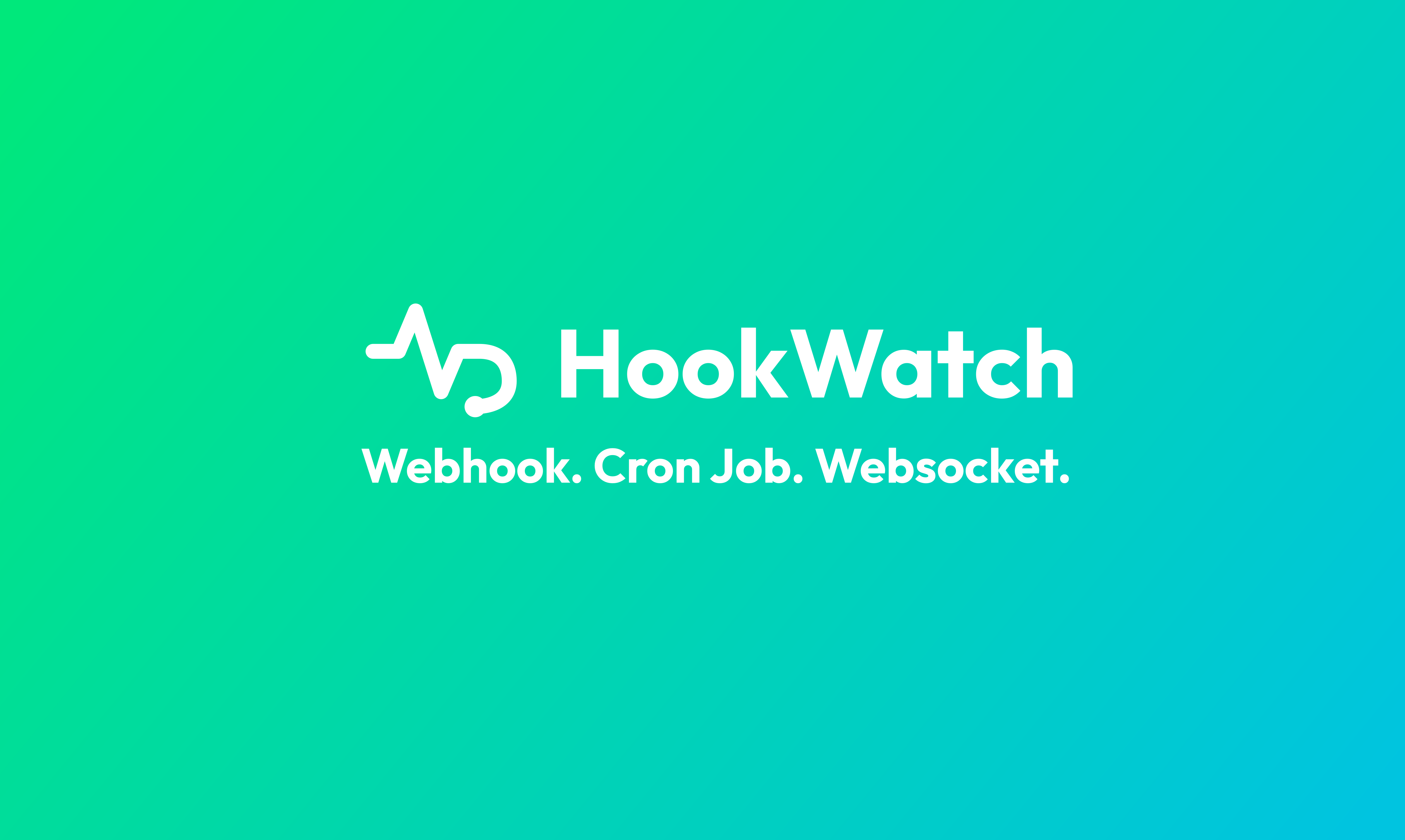 HookWatch - Main product screenshot demonstrating key features and user interface