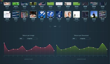 Microstockr Pro gallery image