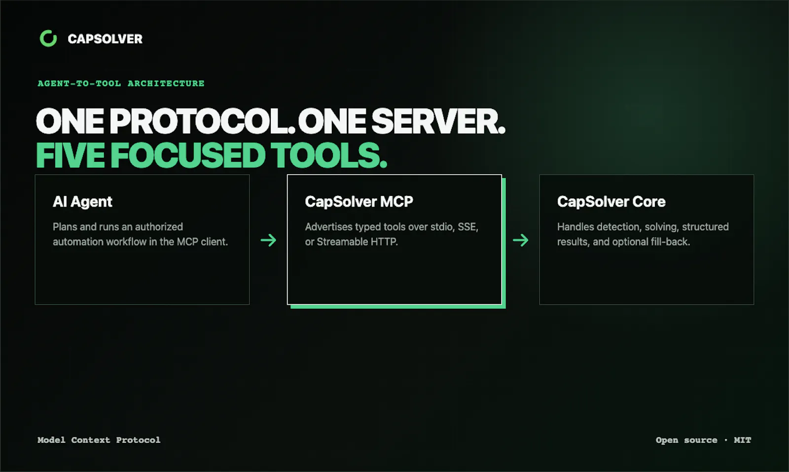 CapSolver screenshot 4