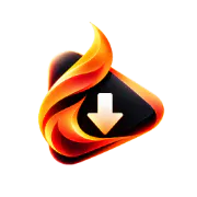 VidBlaze product banner