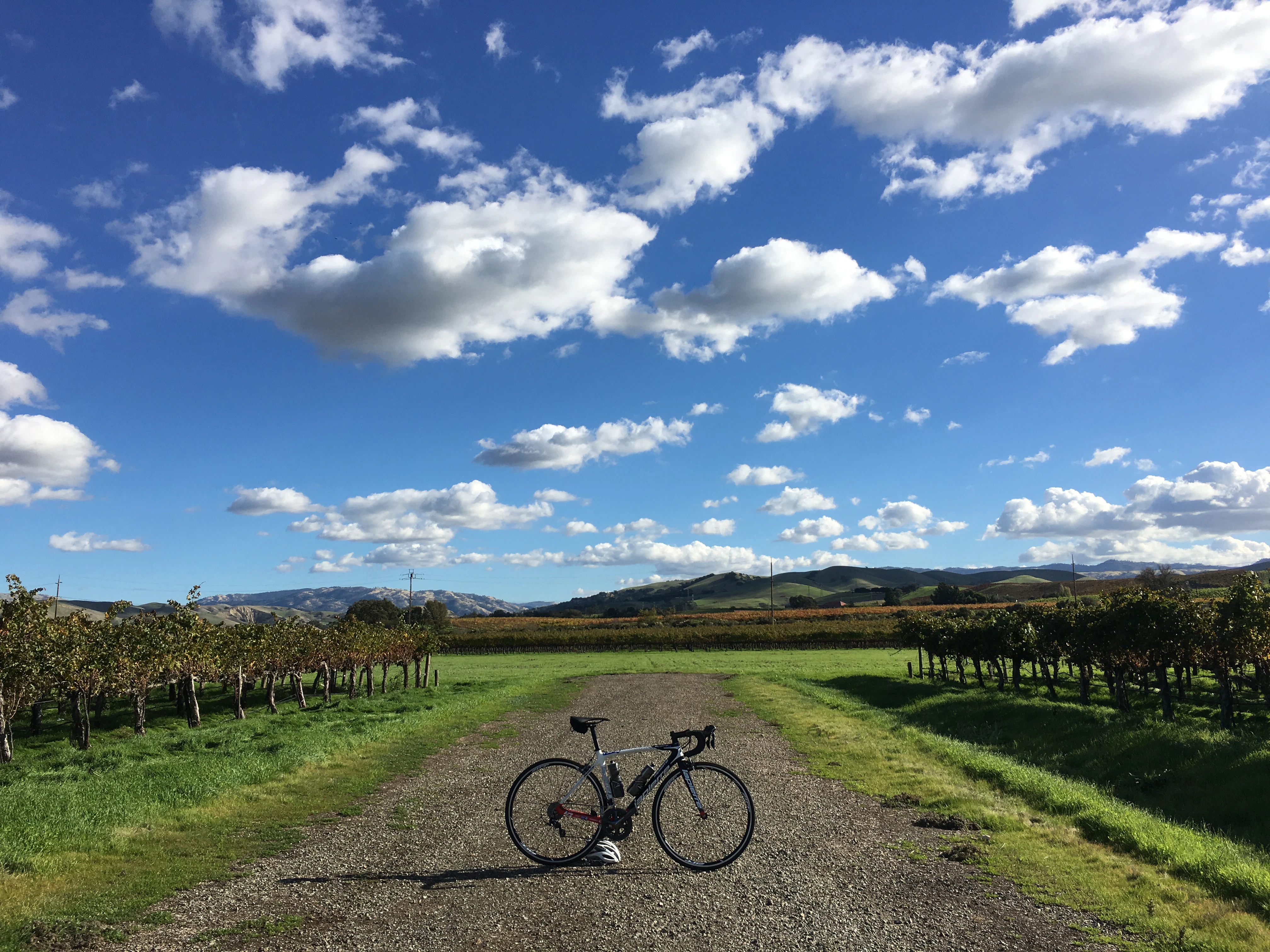 Gregory Sarkis-Kelly cover