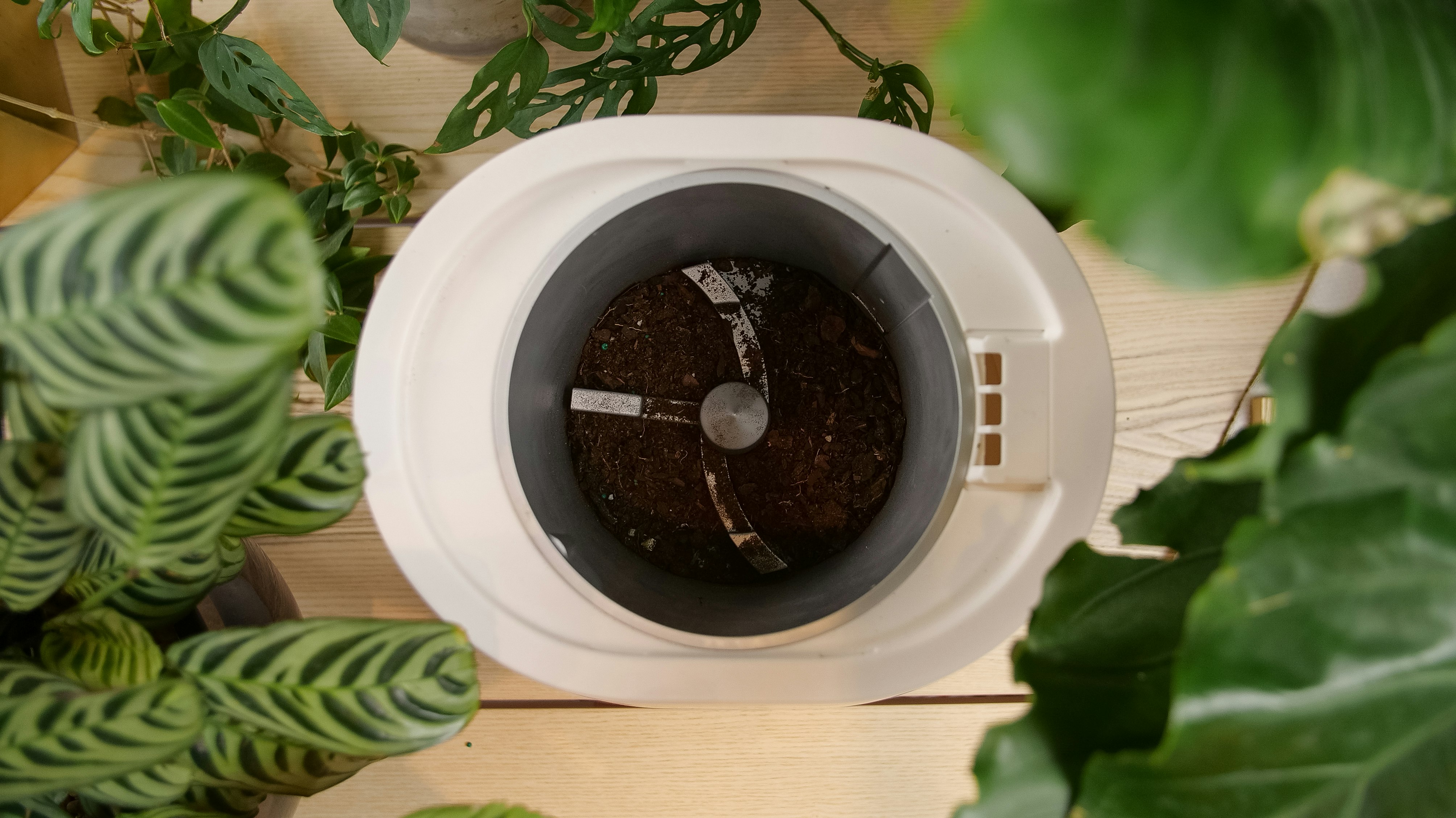 Lomi Home Composter Review- Compost Bioplastics & Food at Home