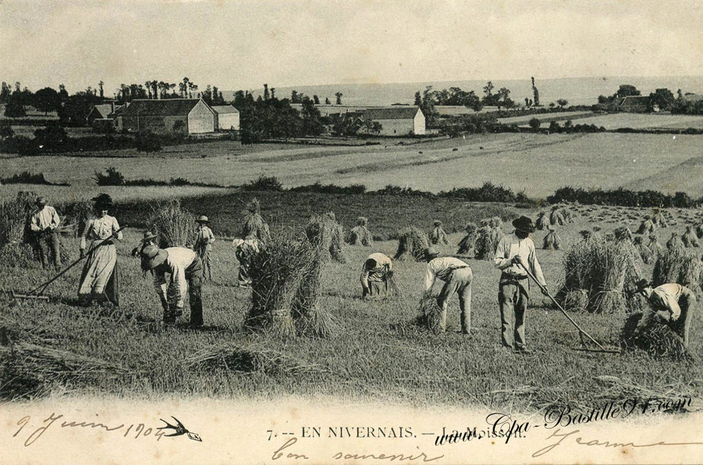 Alexandre Scialom cover