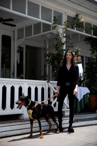 Dog Harness gallery image