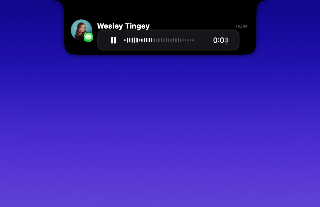 DynamicLake gallery image