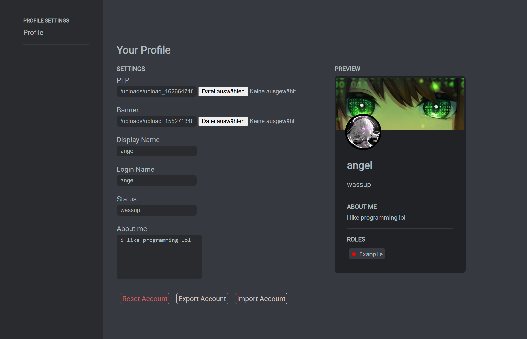 Dcts - Piattaforma di chat come discordia ma autosufficiente come Teamspeak media 3
