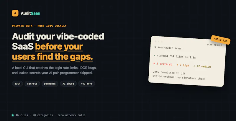 AuditSaas screenshot 1
