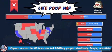 Pigeon POOlitics 2020 election gallery image