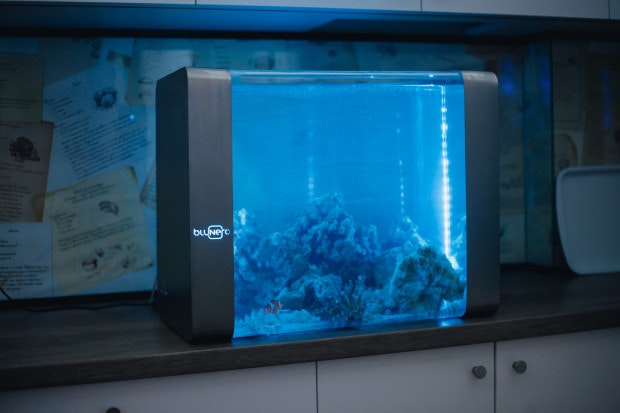 Bluenero gallery image