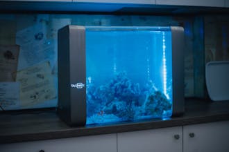 Bluenero gallery image