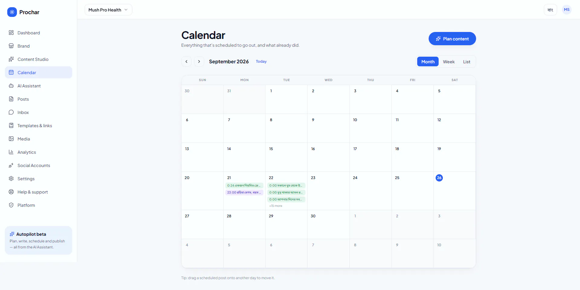 Prochar — AI Social Media Autopilot gallery image