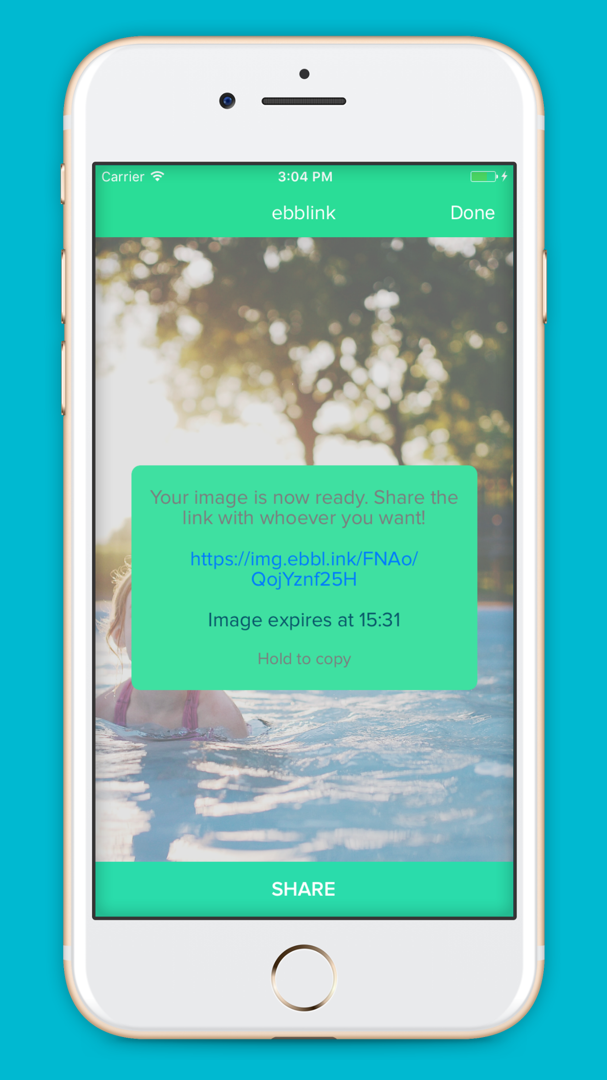 ebblink gallery image