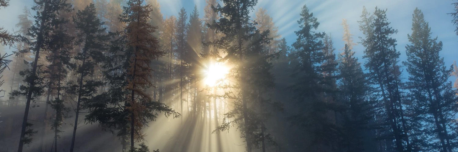 Bhavin Prajapati cover