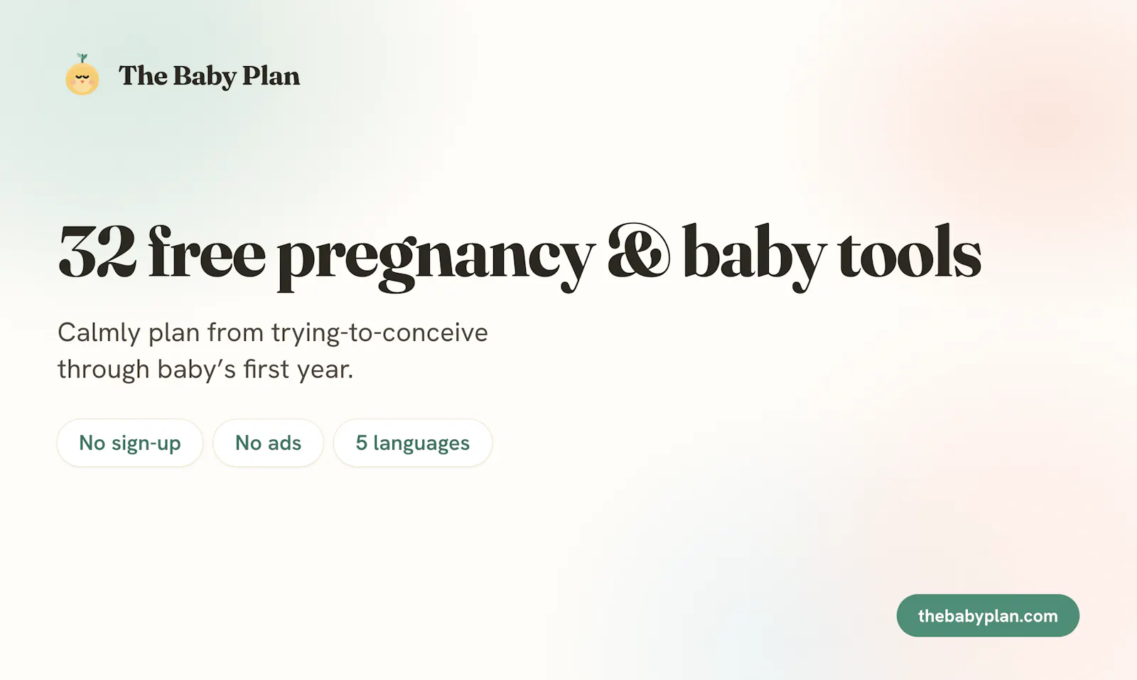 The Baby Plan screenshot 2