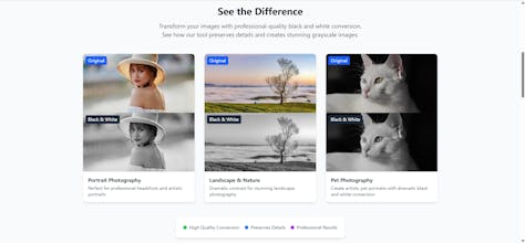 Make Image Black and White gallery image