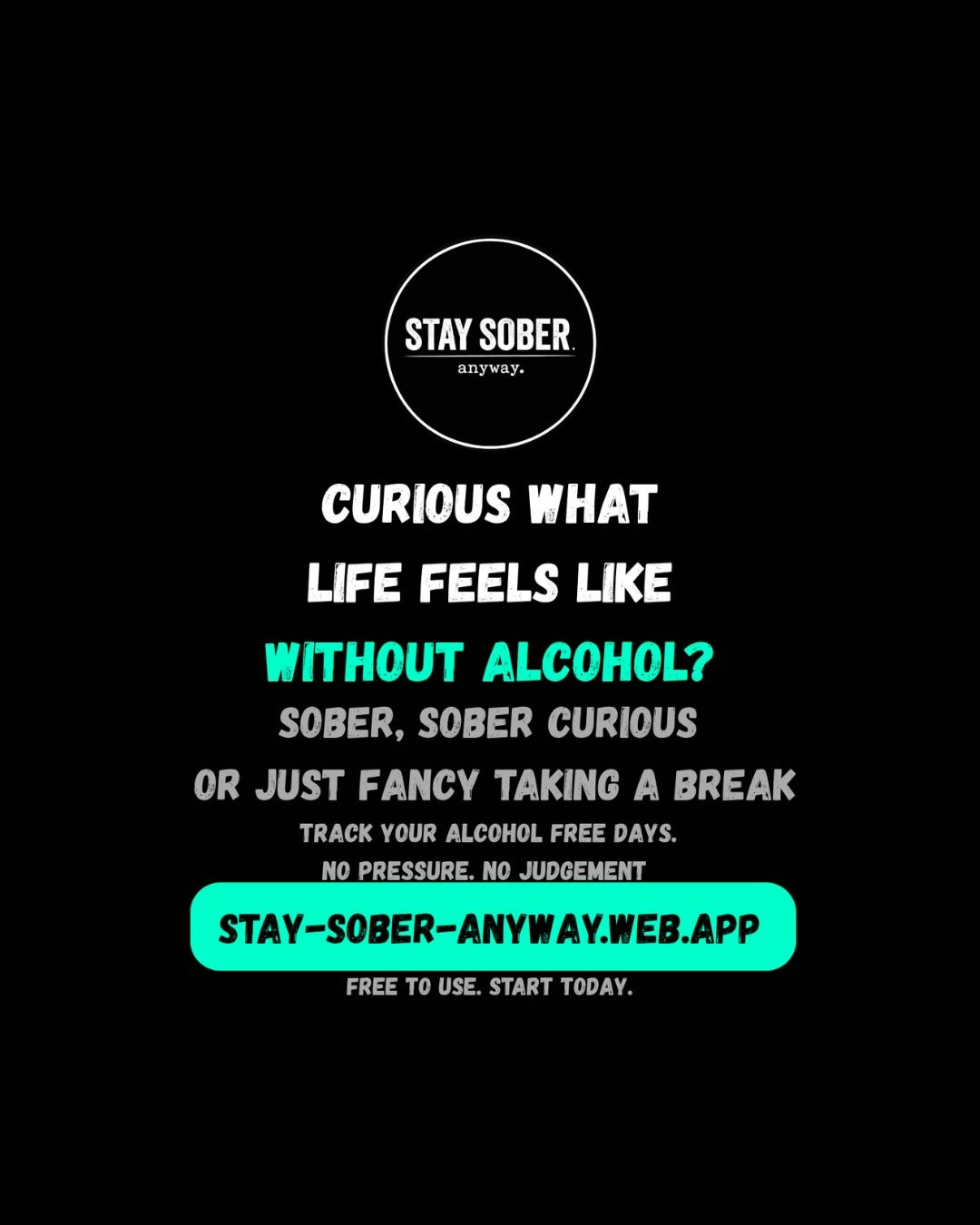 Stay Sober Anyway gallery image