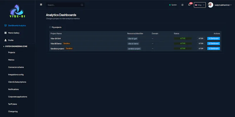 Vibe BI screenshot 2