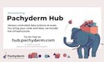 Pachyderm Hub image