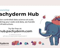Pachyderm Hub media 1