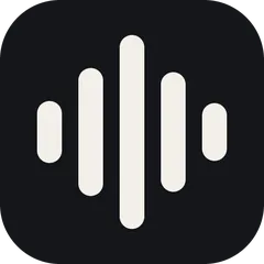Plainsay logo