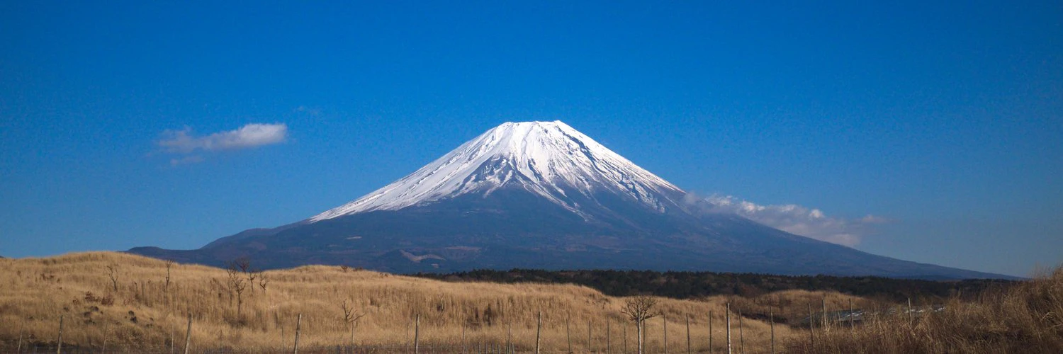 Toto Tvalavadze cover