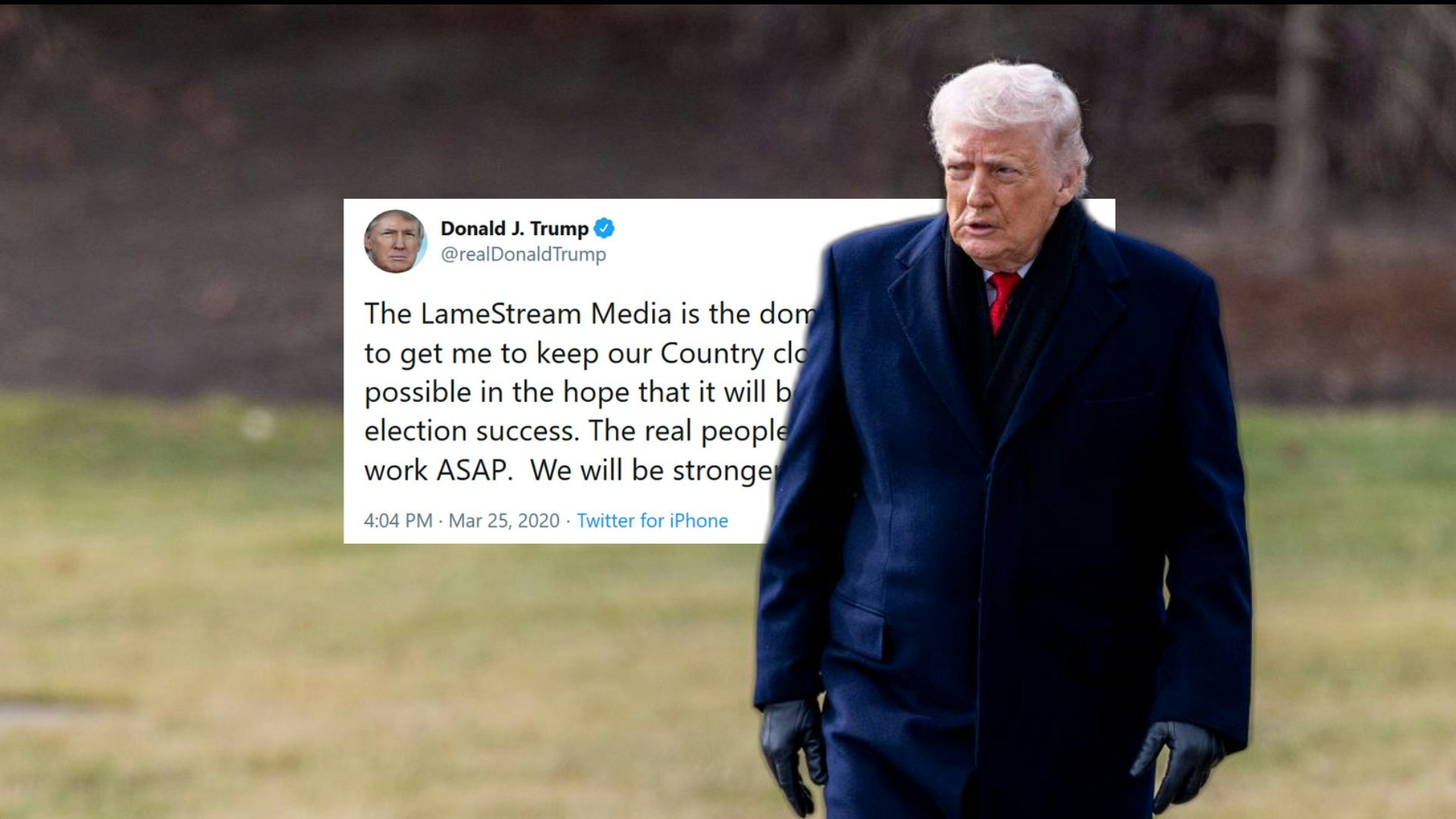 ZipZapic.com gallery image