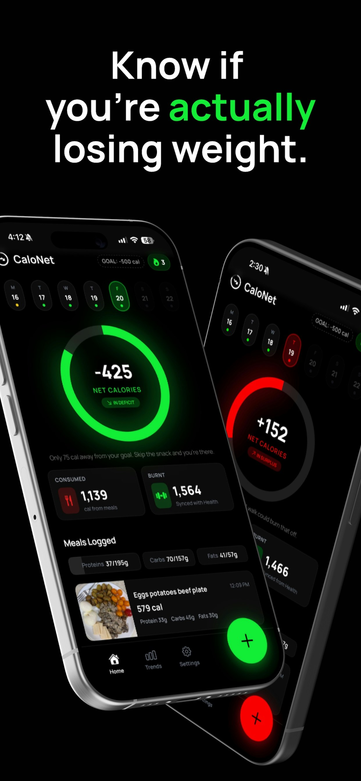 CaloNet gallery image