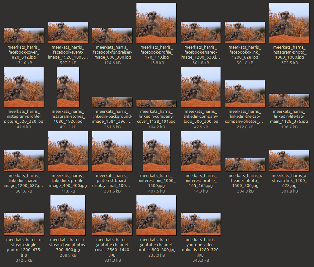 Mídia 3 de Assinatura - Captura de imagens sem esforço para cada projeto