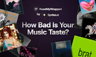 RoastMyWrapped.com