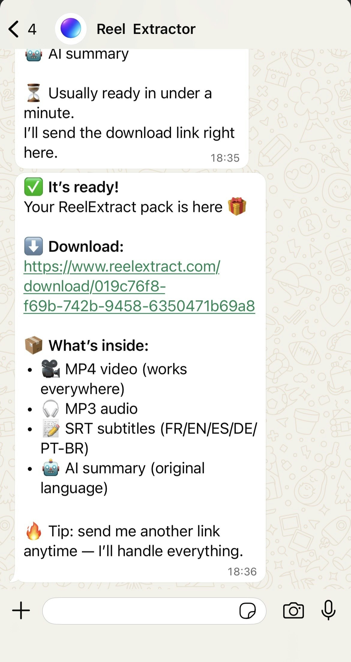 ReelExtract - Screenshot 2 showing product features and functionality