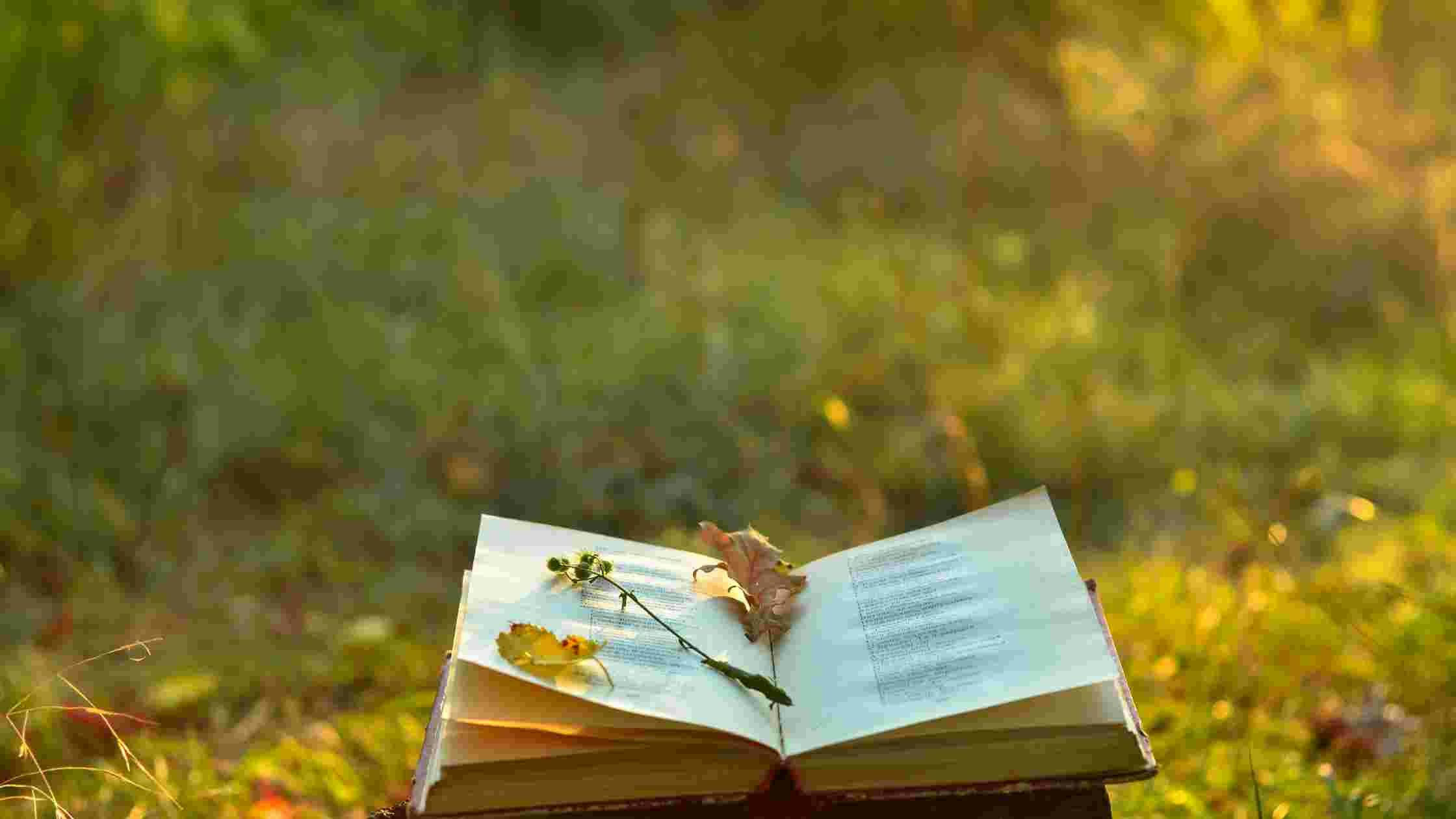 Gerador de título do livro de poesia media 3
