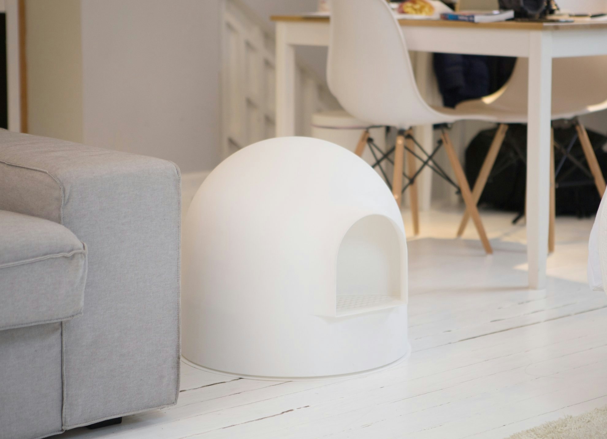 Want an invisible litter box? - try this! pidan igloo litter box gallery image