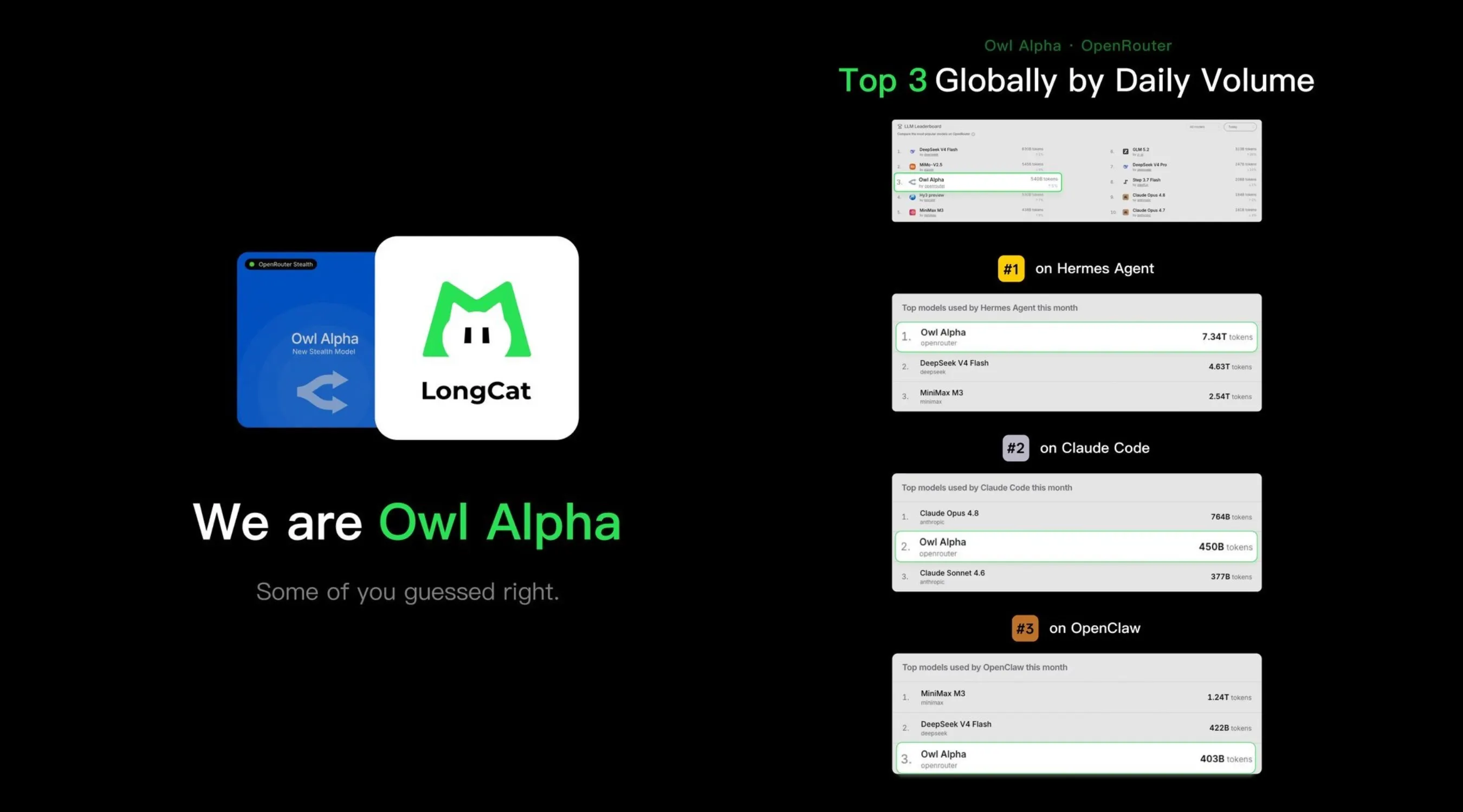 LongCat-2.0 gallery image