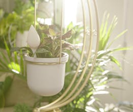 Leaflet gallery image