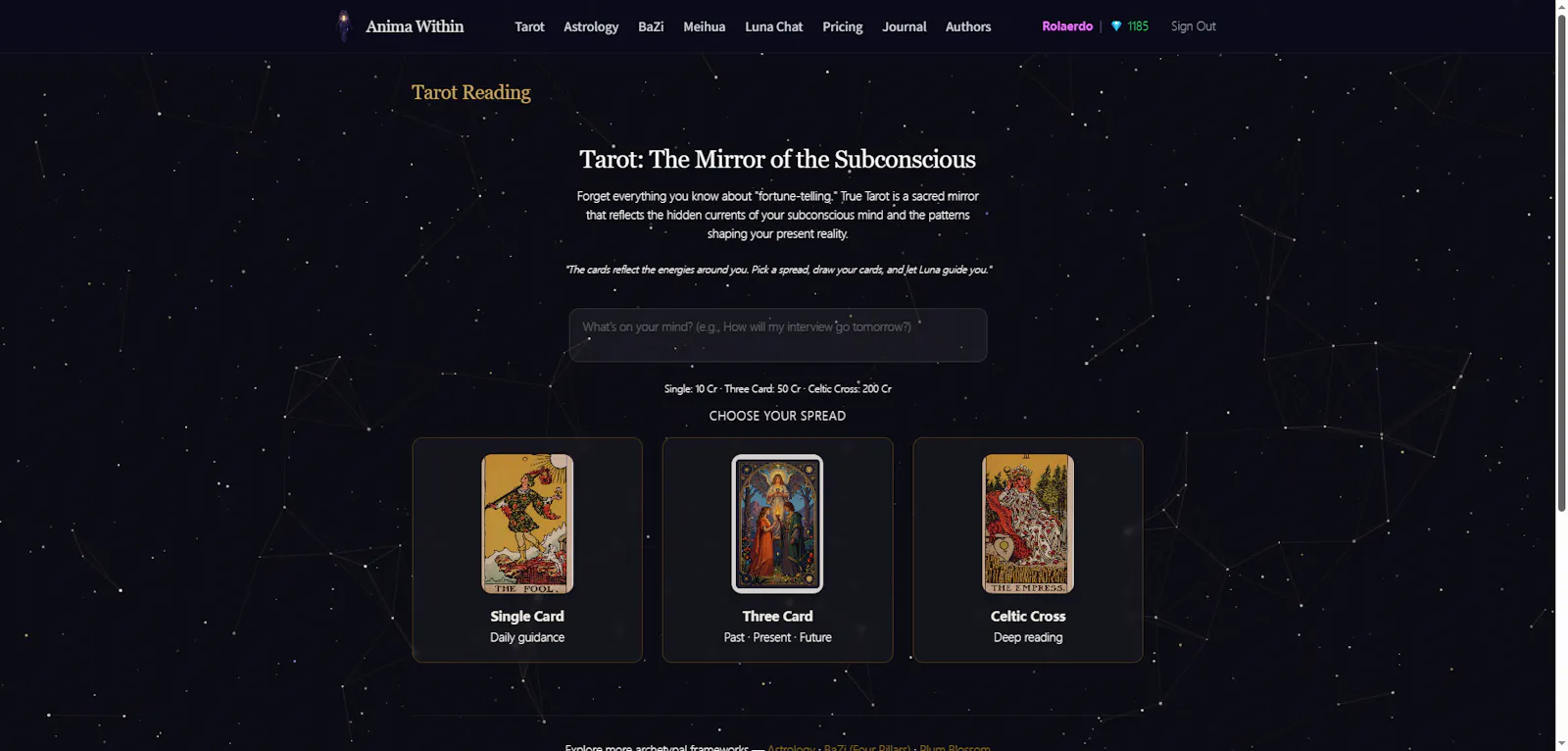 Anima Within screenshot 1