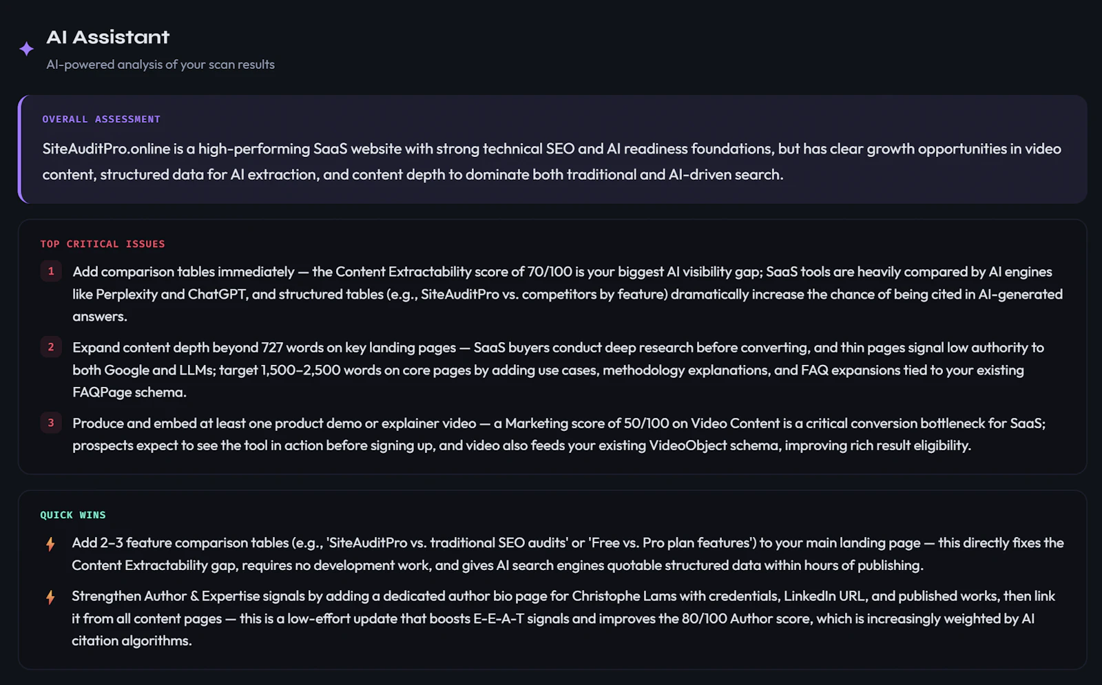 SiteAuditPro screenshot 3