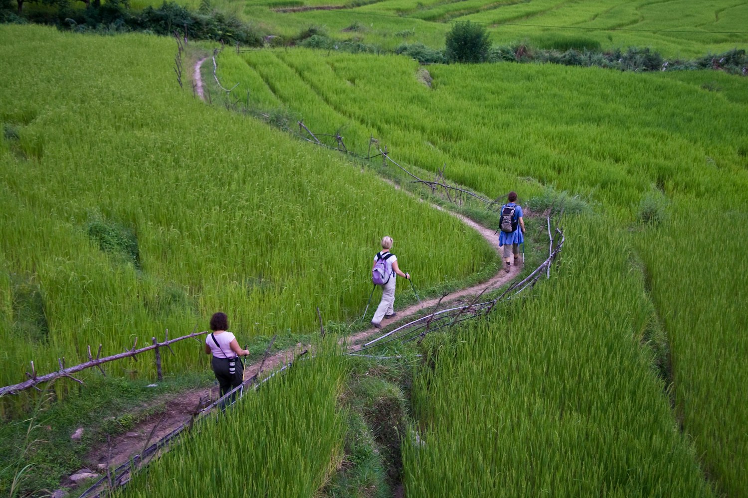 Type-A Retreat gallery image