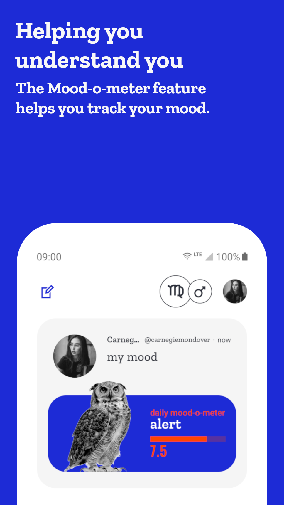 SignSocial gallery image