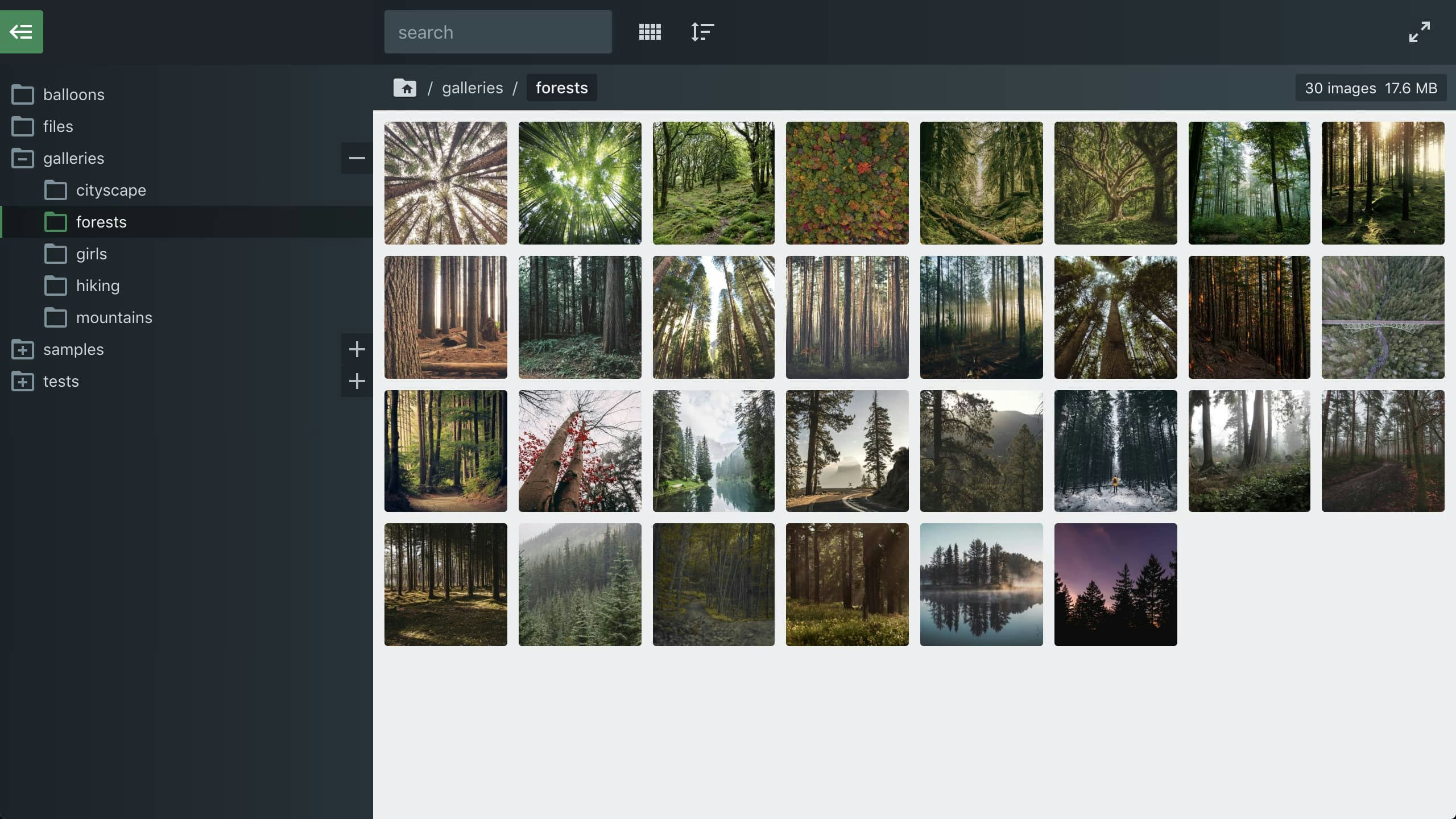 Files App gallery image