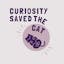Curiosity Saved The Cat