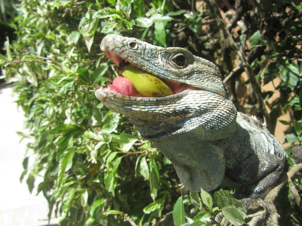 Travel with Makers Image