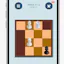 Travel Chess