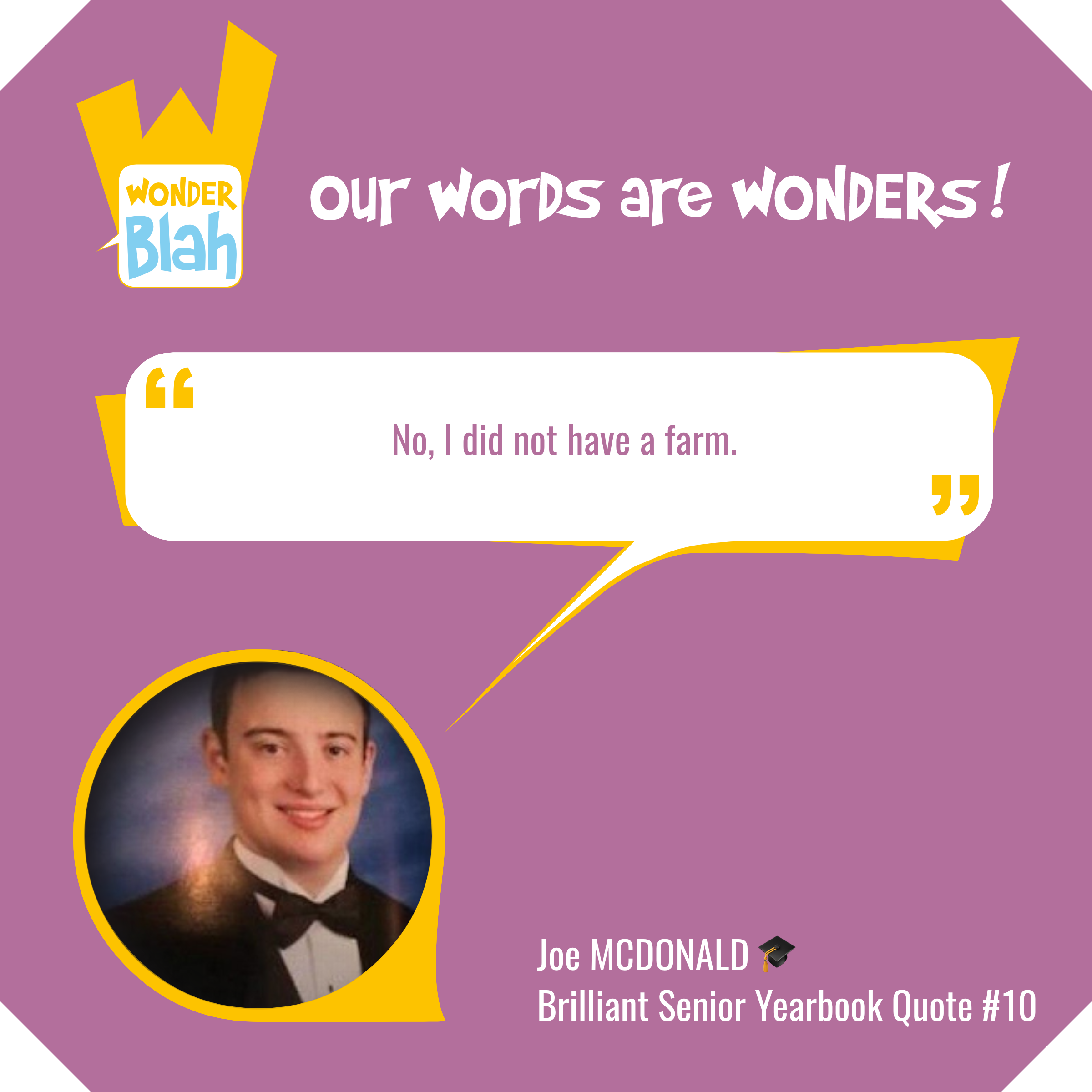 WonderBlah gallery image