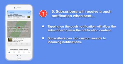 Pingtumi gallery image